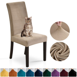 housse de chaise en velours avec un chat assit sur une chaise